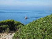 gal/Roy_Allen/Carvoeiro/_thb_Sailing ship.jpg